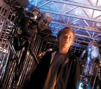 Beim Fleischfest Beim Fleischfest