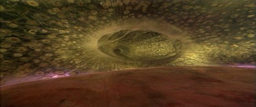 Fantastic Voyage Fantastic Voyage