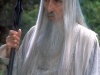 bild21