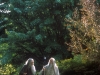 bild22