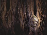 Wallpaper von Thomas Thiemeyer