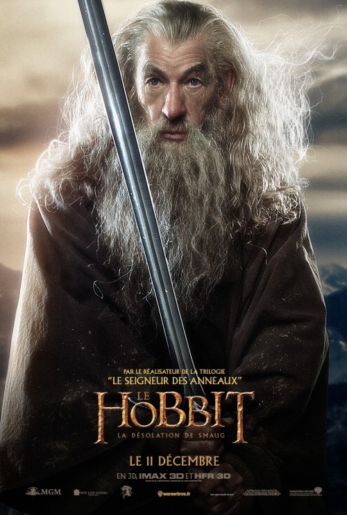 hobbit_the_desolation_of_smaug_ver17_xlrg